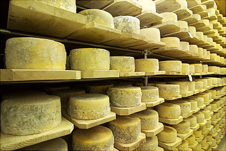 Gherd&euml;ina Lat K&auml;se
