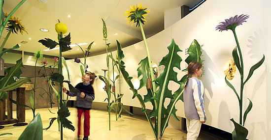 Museo del Latte Caseificio Gherdëina Lat (Centrale del latte)