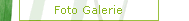 Foto Galerie