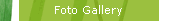 Foto Gallery