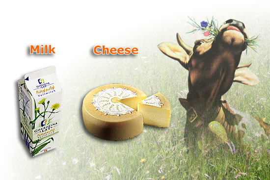 Milk - Gherd&euml;ina Lat Dairy